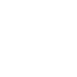Automatic Fire Detection hover icon