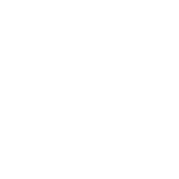 Emergency Lighting hover icon