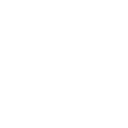 Security Systems hover icon